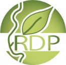 logo de RDP