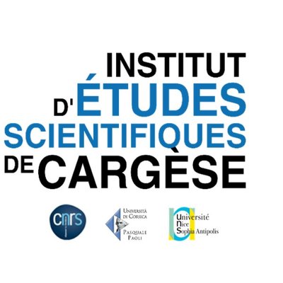 Cargese IES Logo