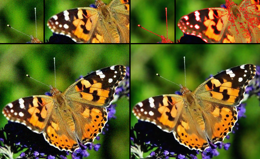 Restoration and segmentation of a color image with noise 0.05.