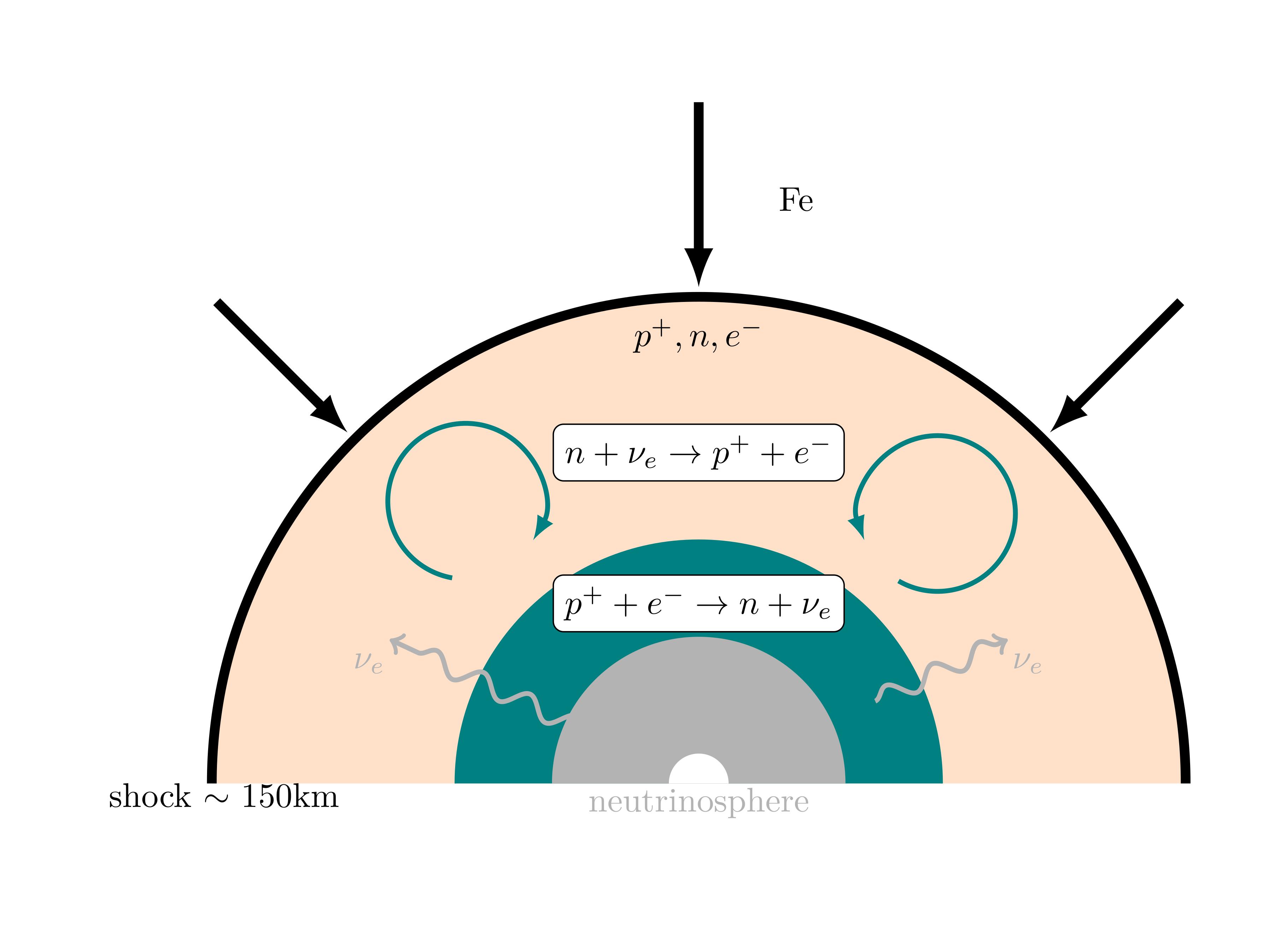 Schematic description of the accretion shock phase — Bruno Pagani’s PhD