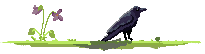 pixel art crow on grass with some violets