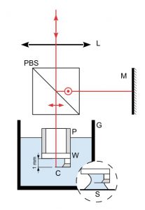 High Resolution Viscosity Measurement by Thermal Noise Detection ...