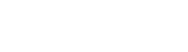 Martin CASTELNOVO
Laboratoire de Physique
Ecole Normale Supérieure de Lyon